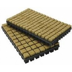 1.5" Rockwool Cubes Tray of 77