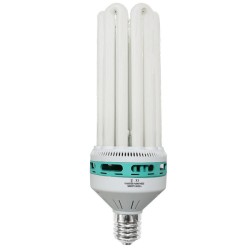 CFL Dual Spectrum Bulb125W