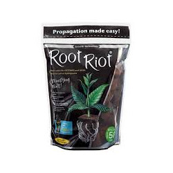 ROOT RIOT PROPAGATION CUBES...